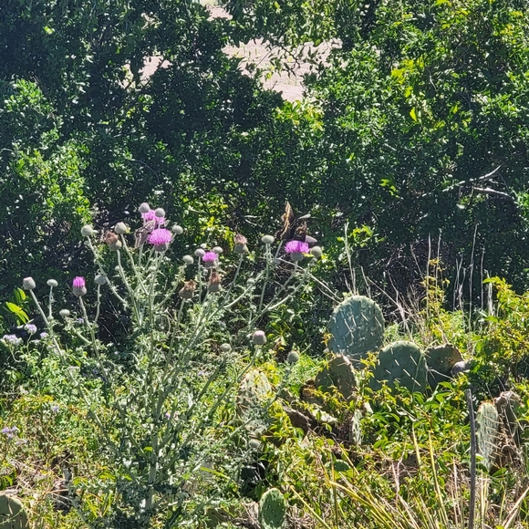 Welcome! - Picture 1 of 1